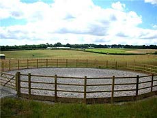 Lunge pen
