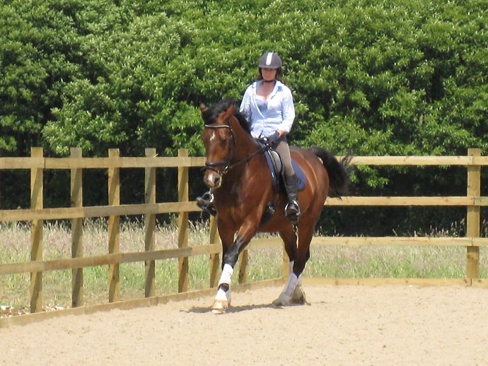 Dawn and Tip Top