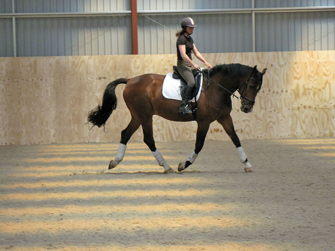 Dawn and Tip Top